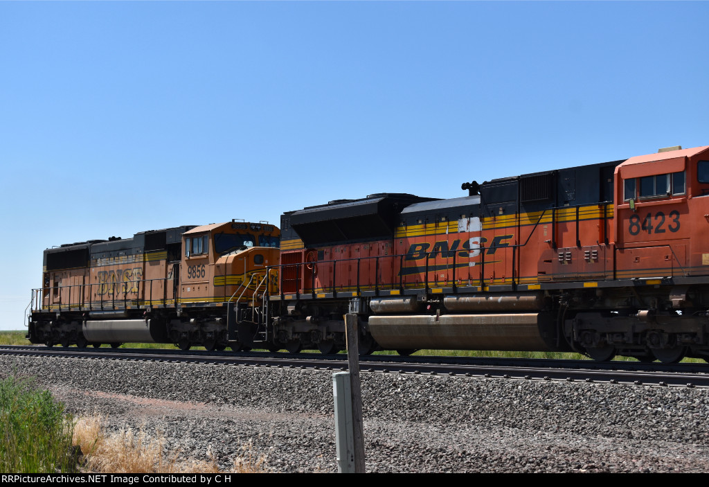 BNSF 8423/9856